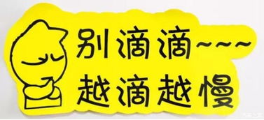 實習車上路 真的可怕嗎？解析馬路上的“隱形警報”與汽車陪駕服務